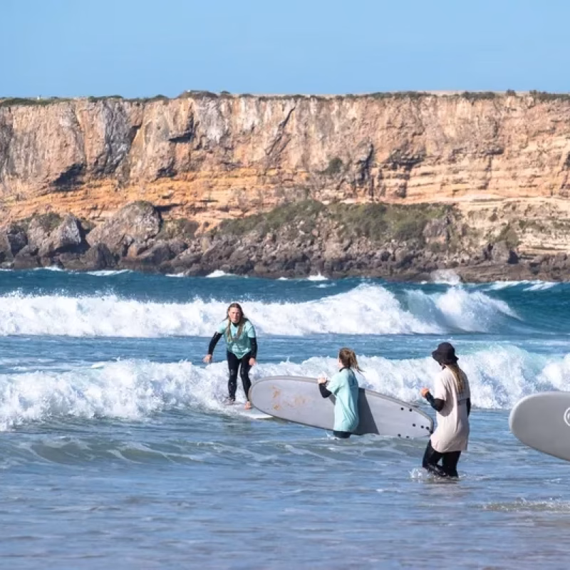 surf 2